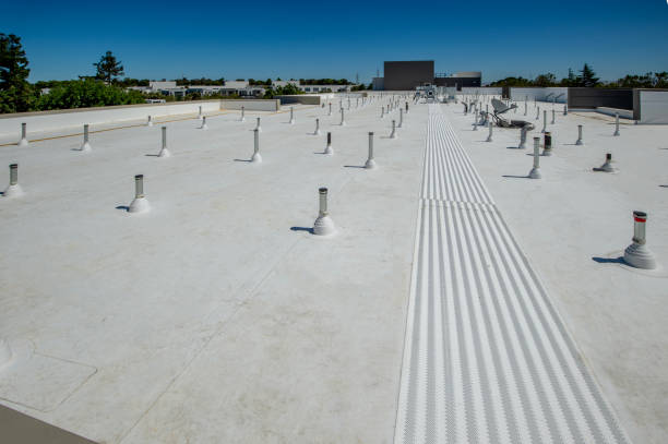 Best Gutter Installation and Repair  in Atascocita, TX